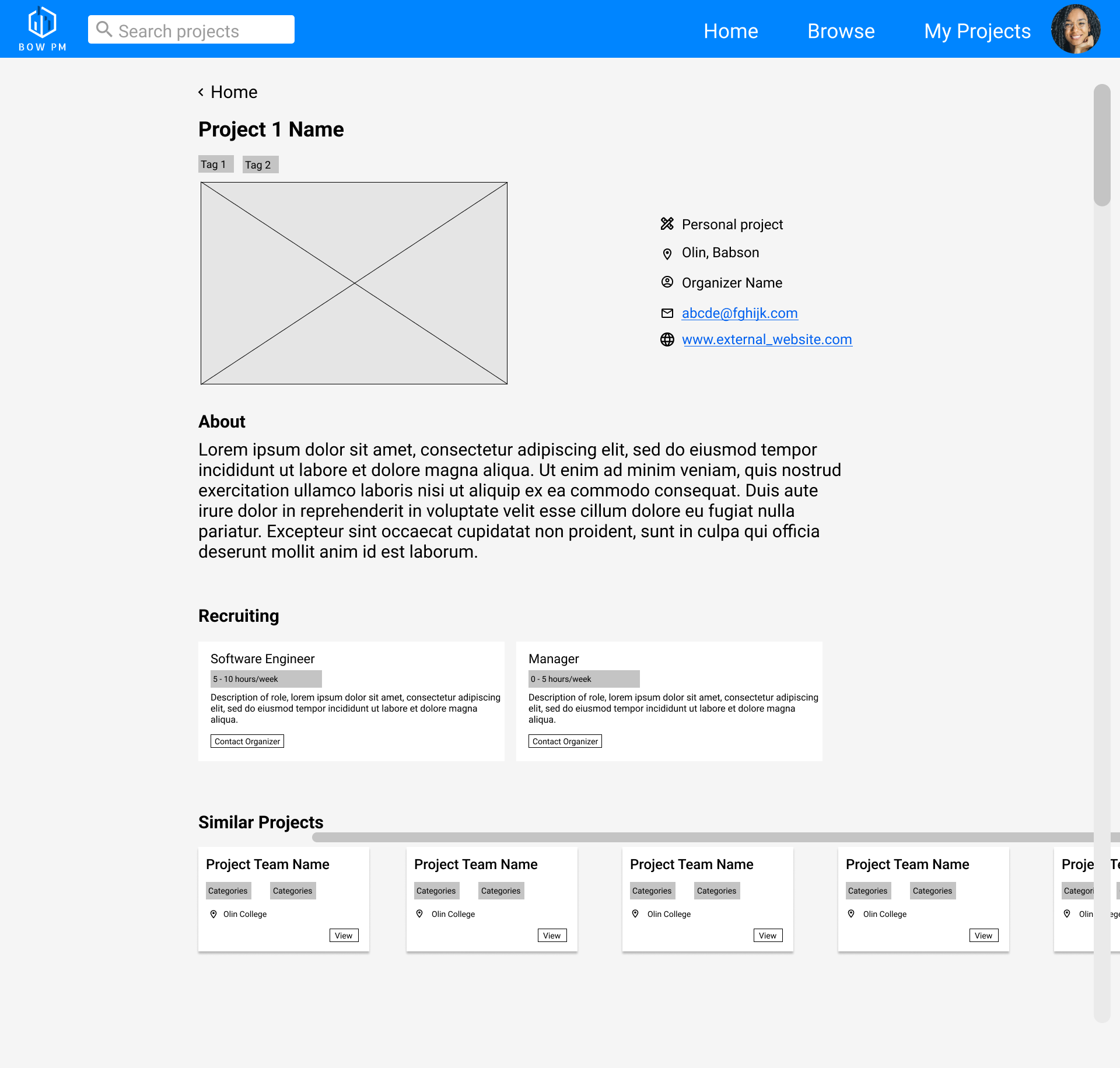 Screen grab of the project overview page Figma mockup